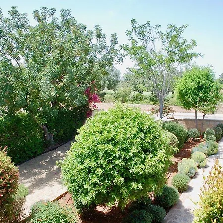 Villa “the Secret To Enjoying The Perfect Holiday″-villa Thrasos Kouklia